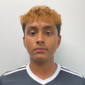 J. Pineda