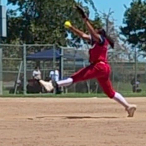 P. Magallanez-Coleman