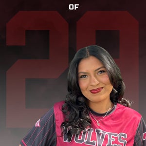 ISABEL VALLES mugshot