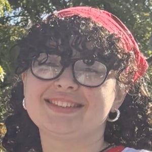 Jomarie Figueroa mugshot