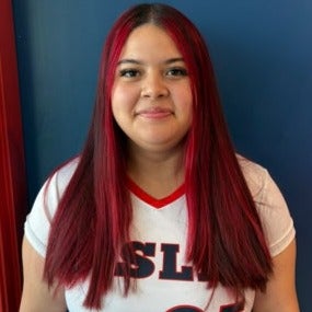 Lillian Navarro mugshot