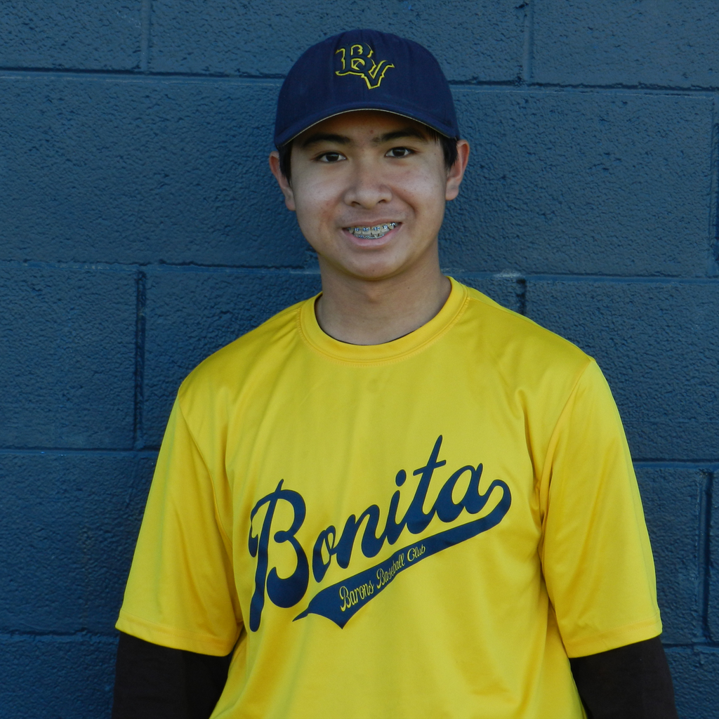 Dominic Estevez mugshot