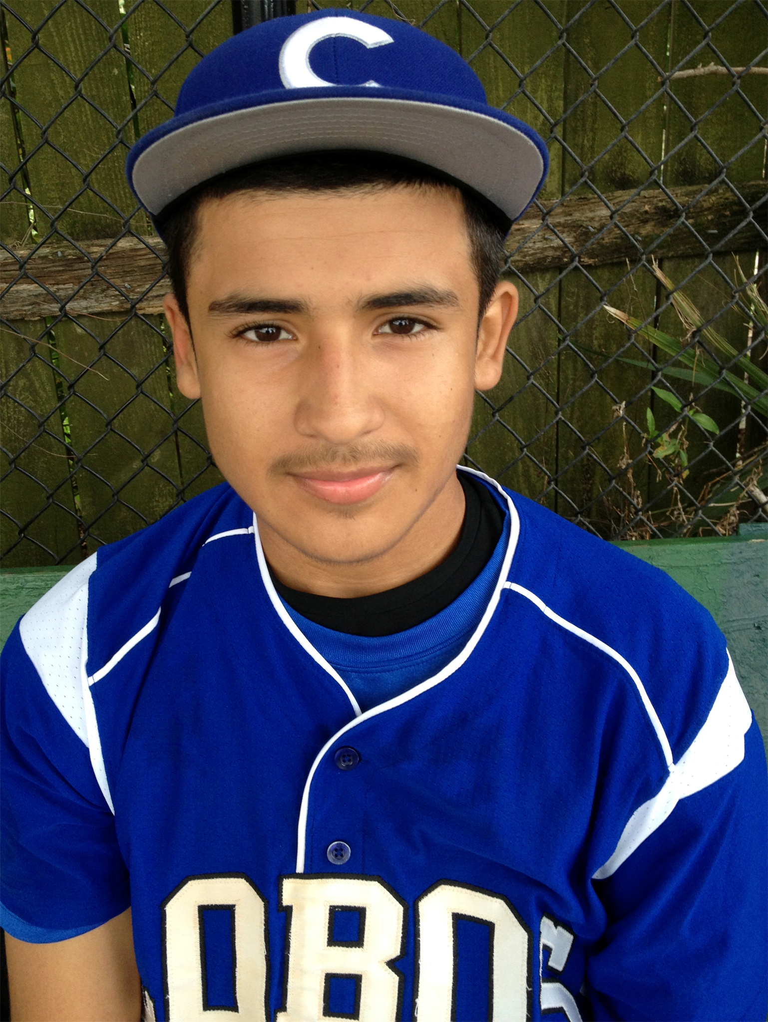 Luis Aleman mugshot