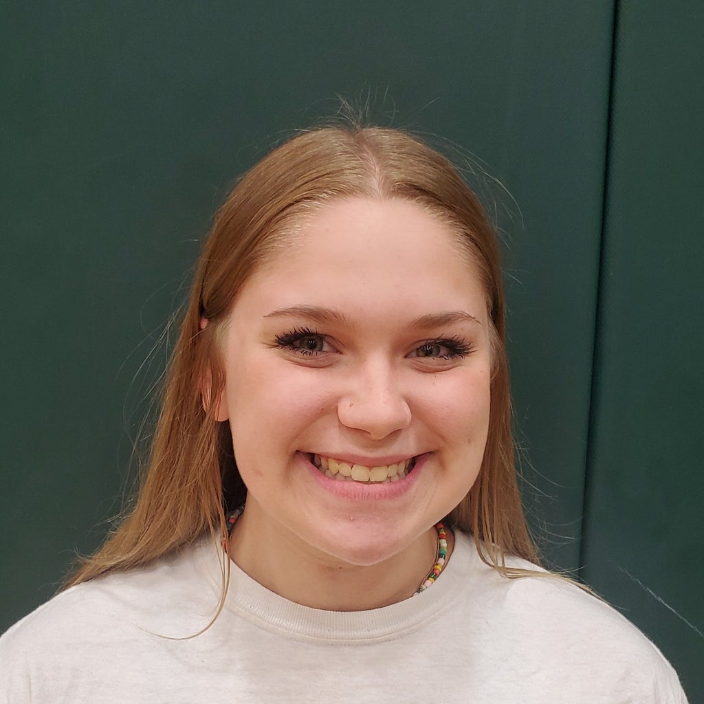 Aubrey Wilmoth mugshot