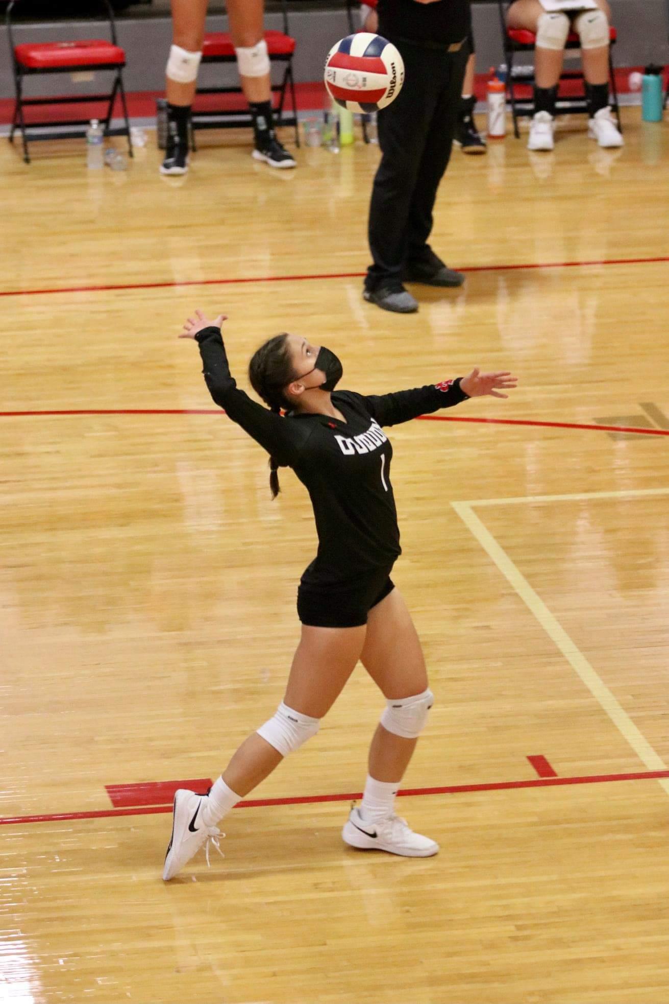 Grace Alongi