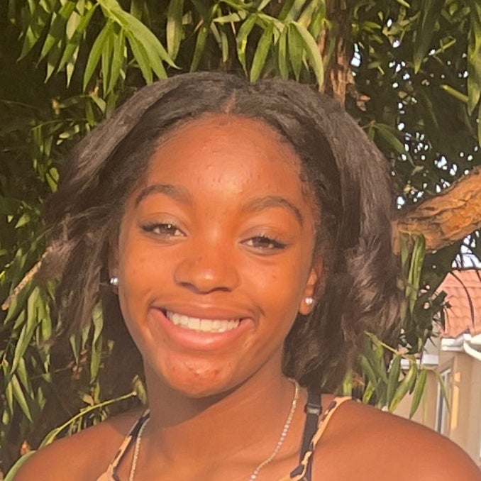 Dessirae Ulmer mugshot