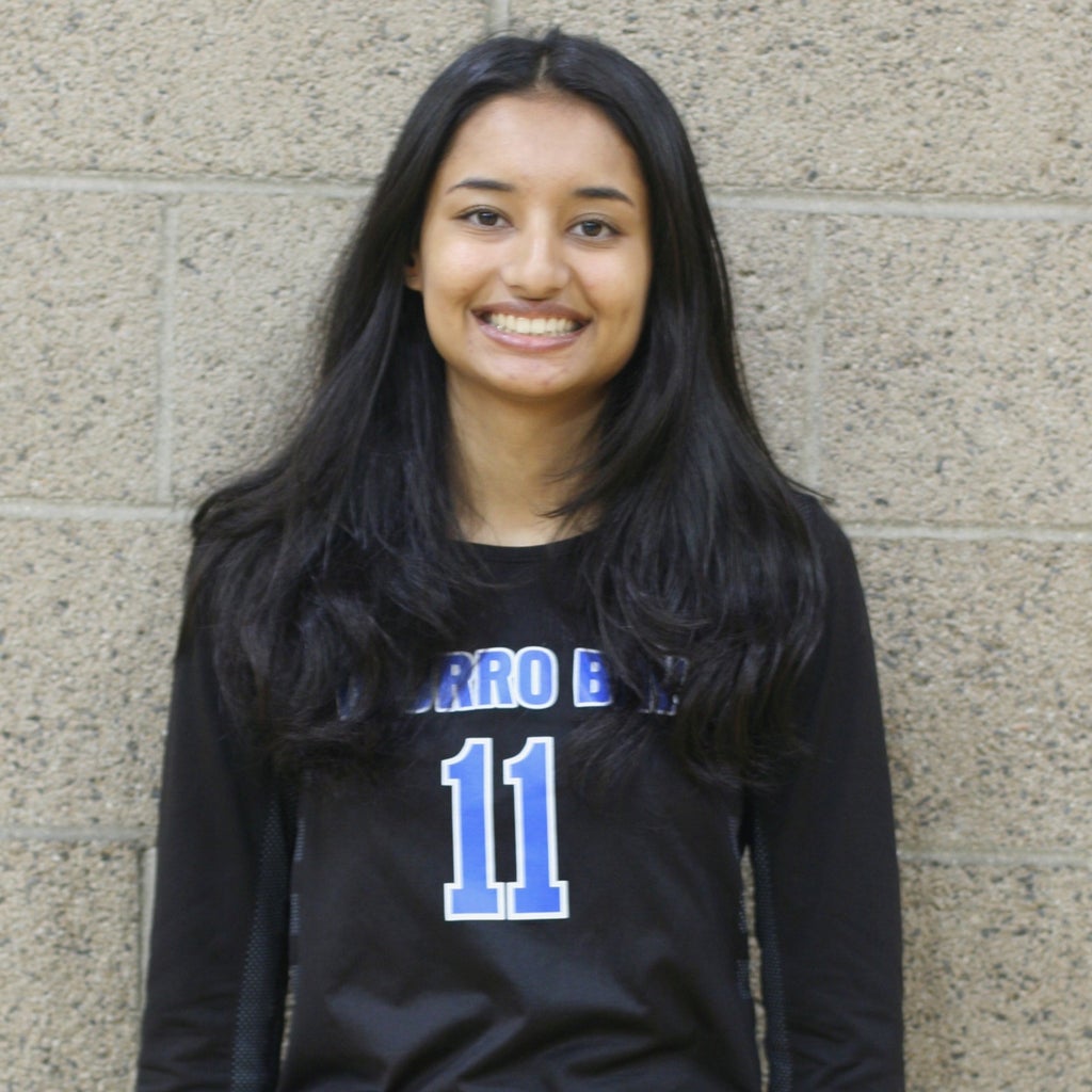 Lindsay Patel mugshot