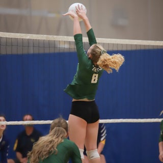 Taylor Vannest
