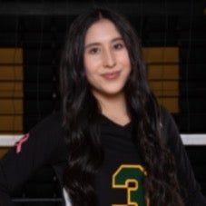 Bri Nieto mugshot