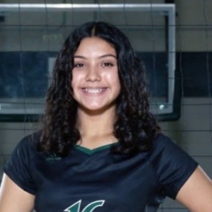 Jocelyn Pargas mugshot