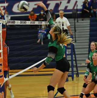 Olivia Saylor mugshot