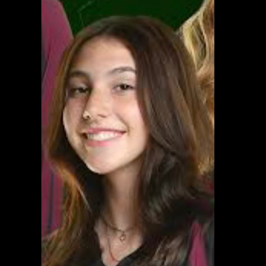 Brityn Hasl mugshot