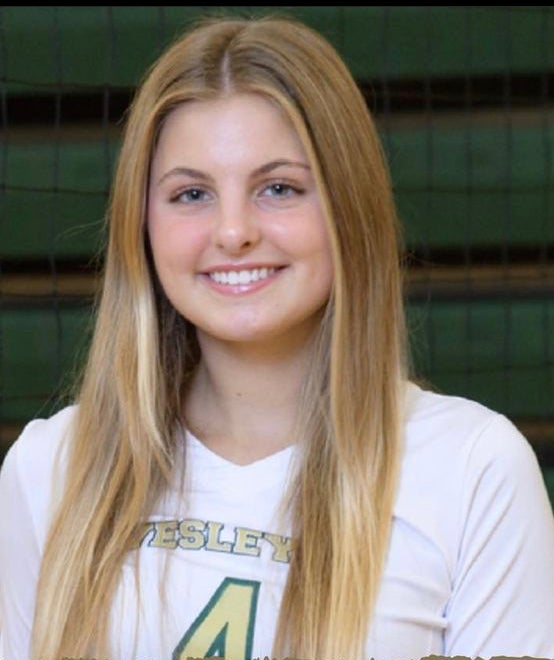 Lauren Van wie mugshot