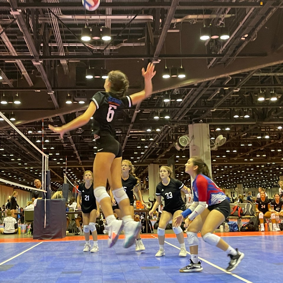 Reese Ribicki