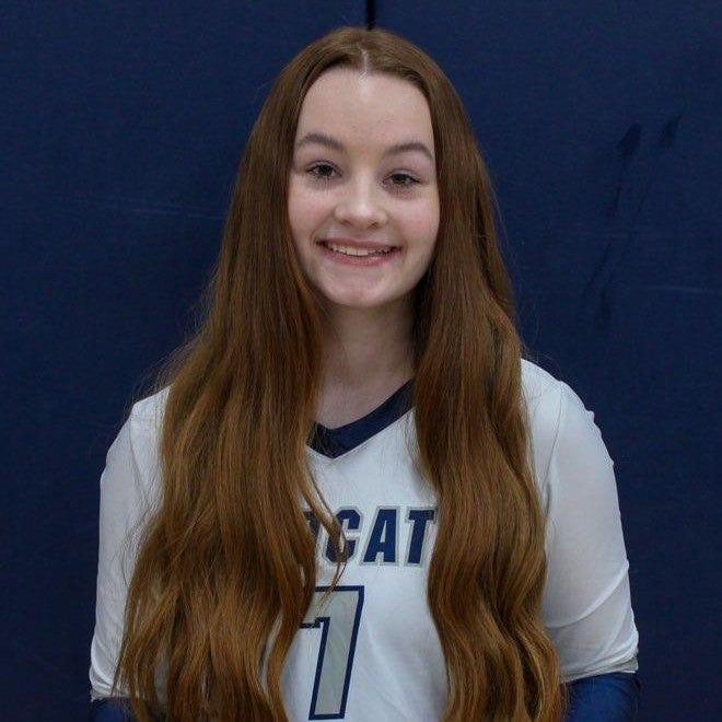 Jadyn Litviak mugshot