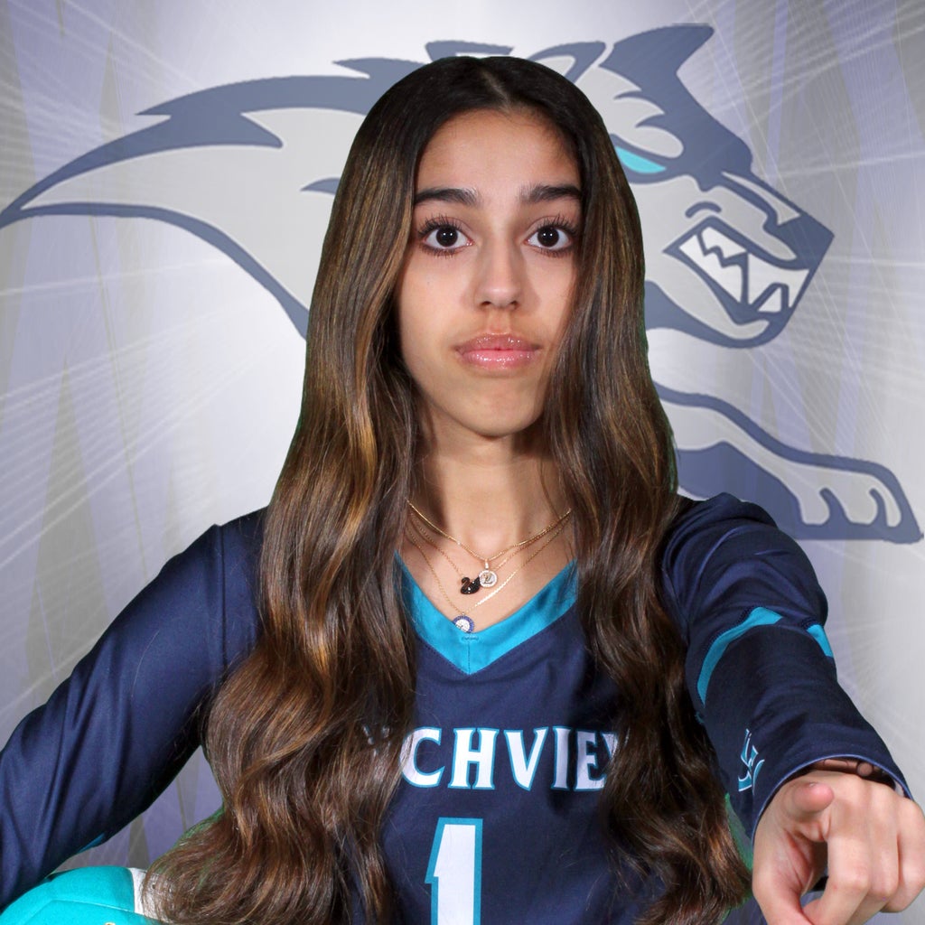 Sheyda  Keshtkara mugshot