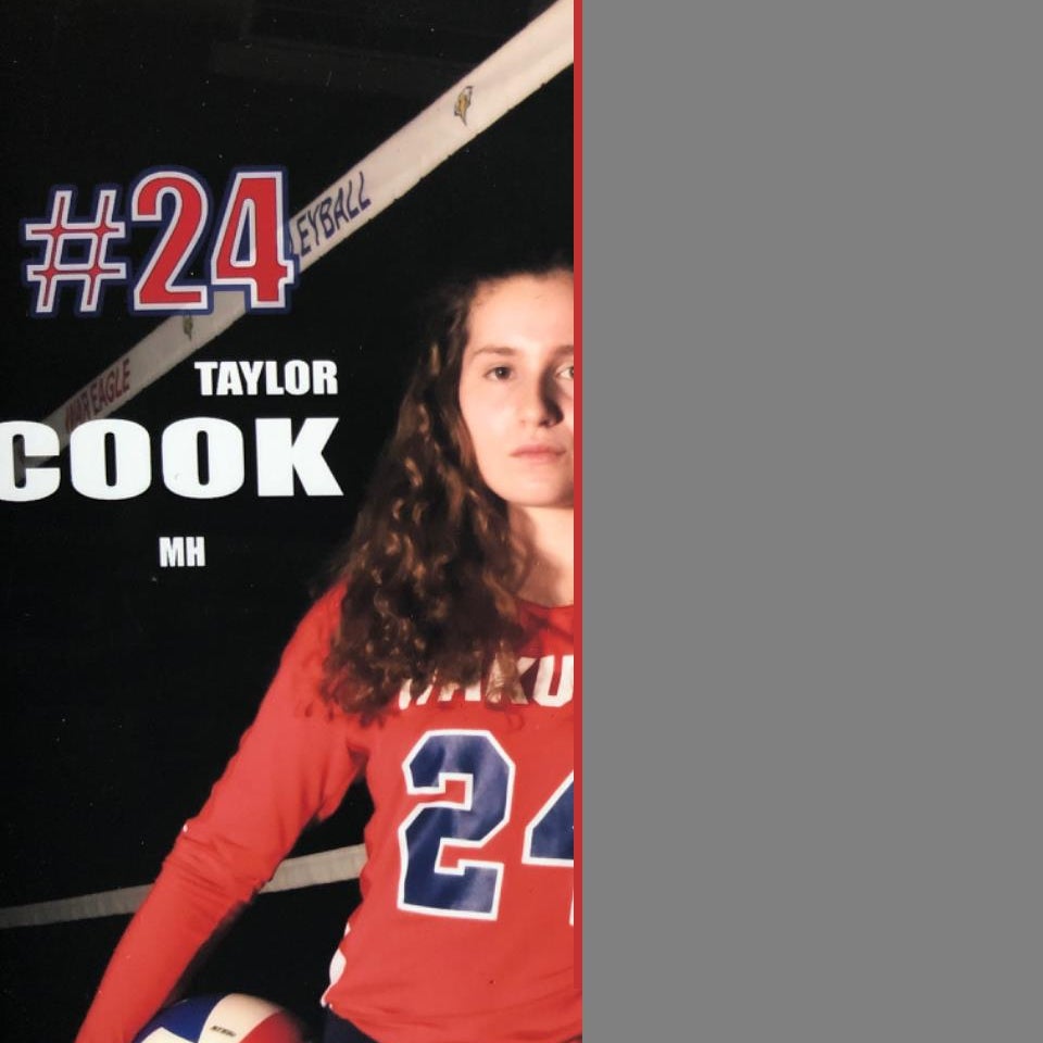 Taylor Cook mugshot