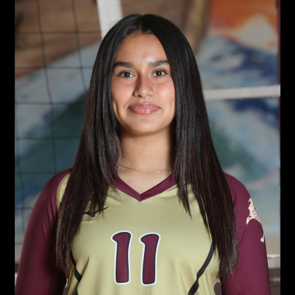 Franco Stephany mugshot