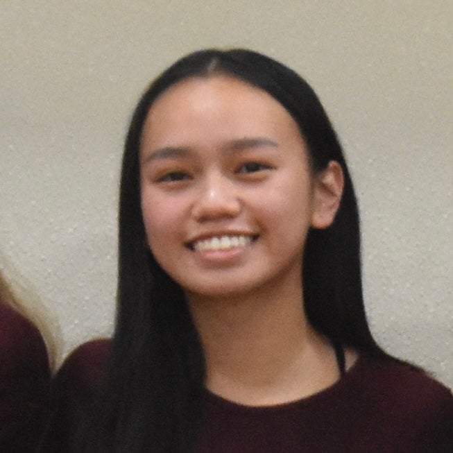 Ashlee Vuong mugshot