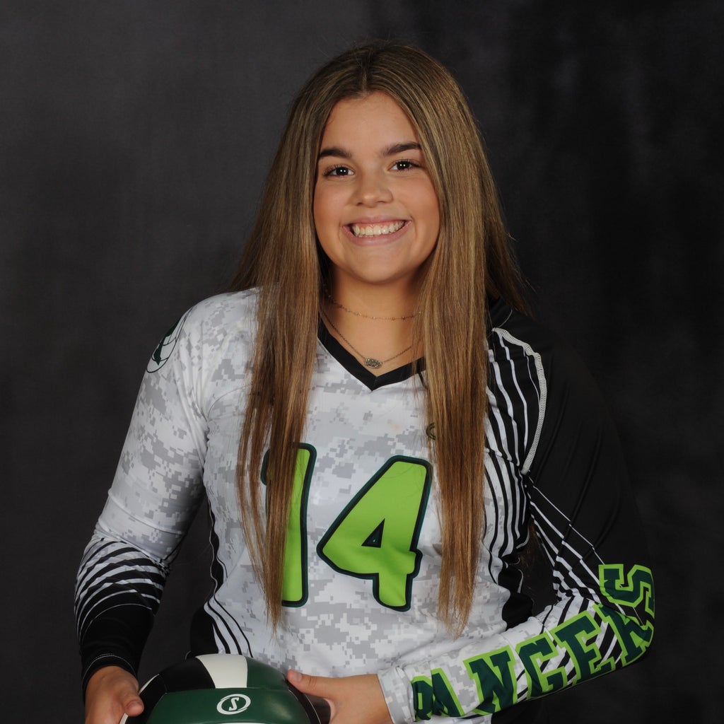 Reagan Aponte mugshot