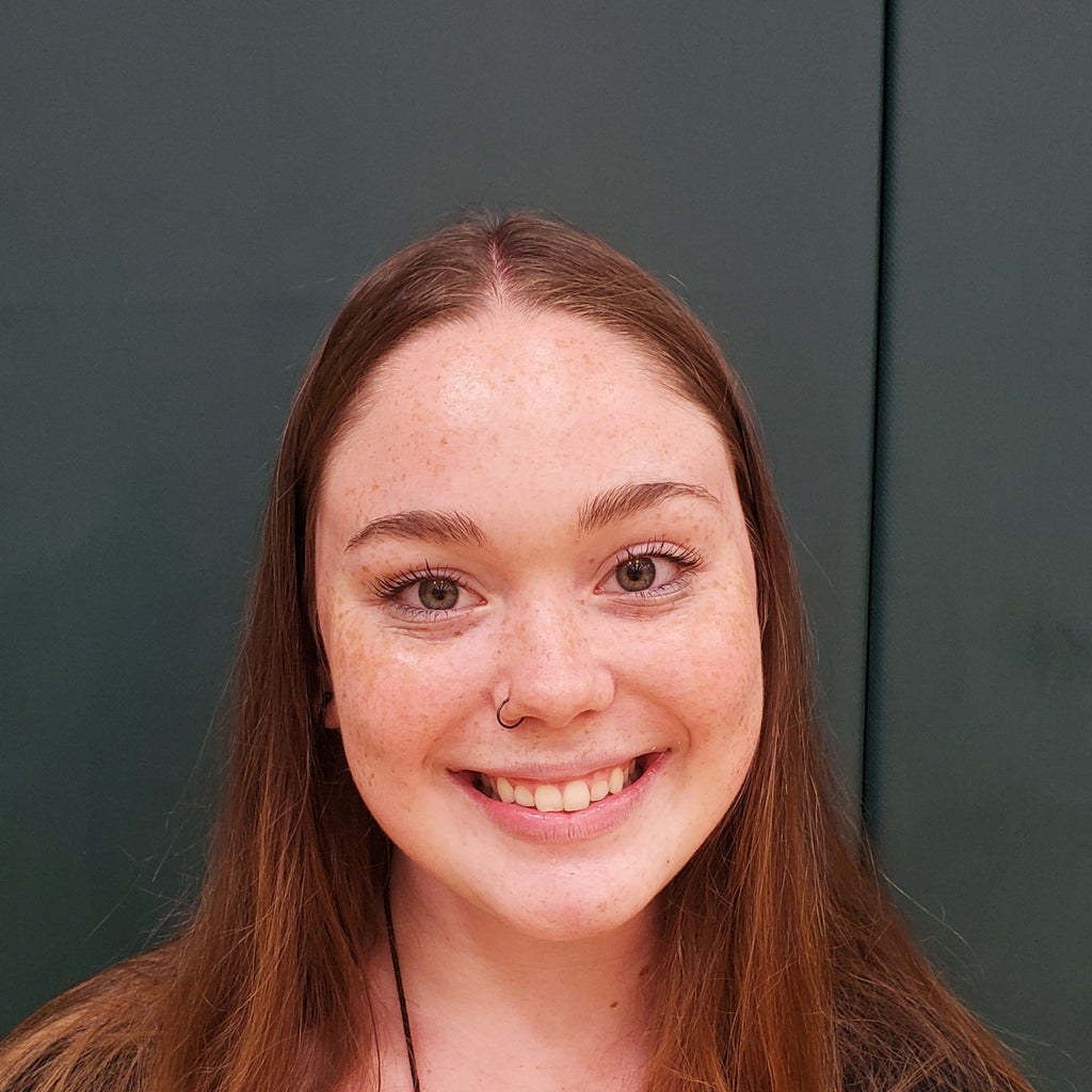 Allison Wilmoth mugshot