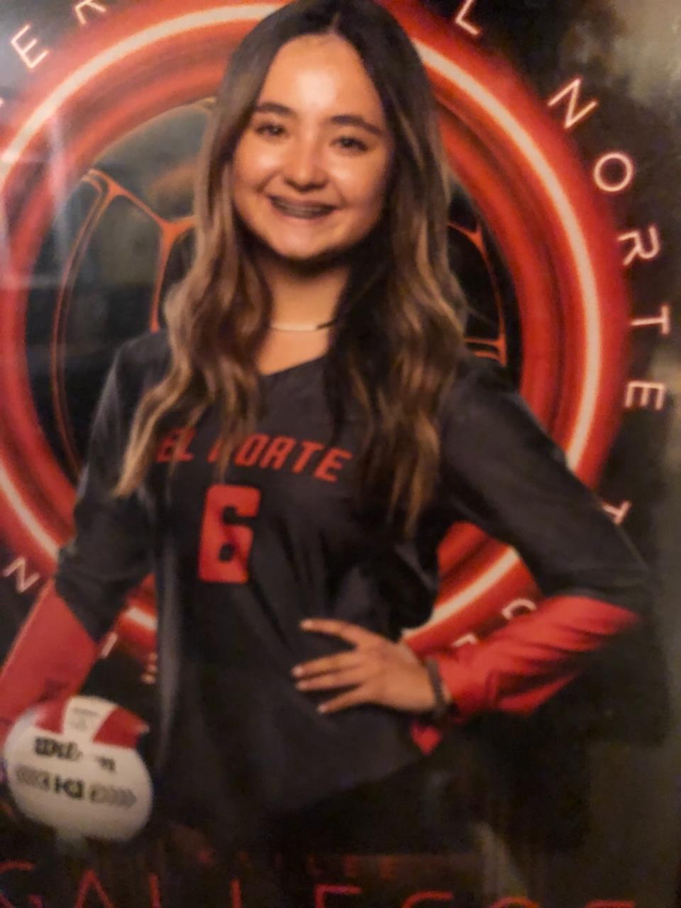 Kailee Gallegos mugshot