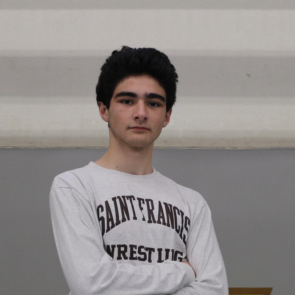 Gianni Ludovico mugshot