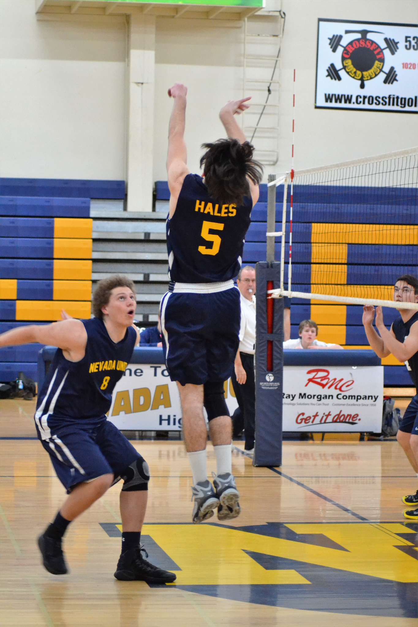 Sam Hales