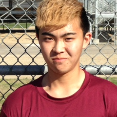 Ervine Wu mugshot