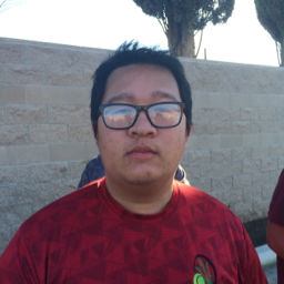 Danny Nguyen mugshot