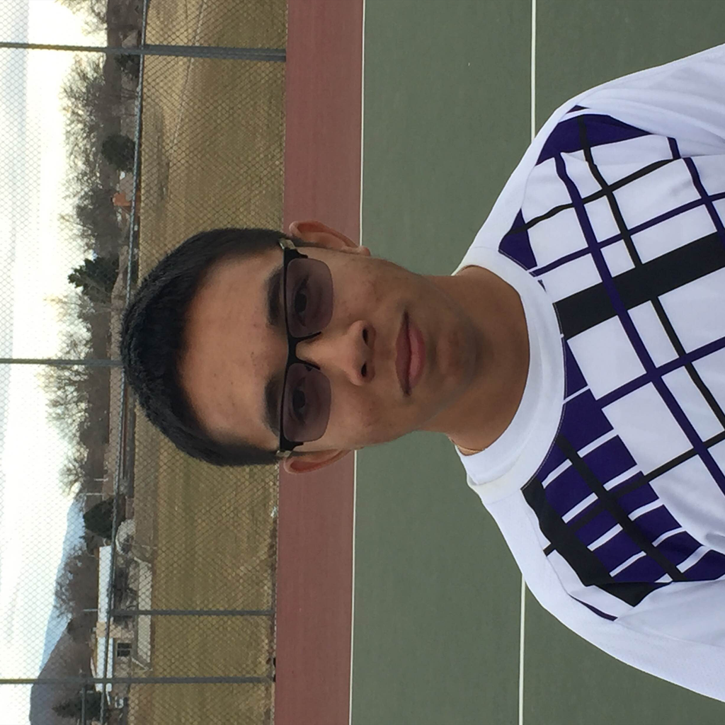 Michael Truong mugshot