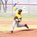 K. Schultz
