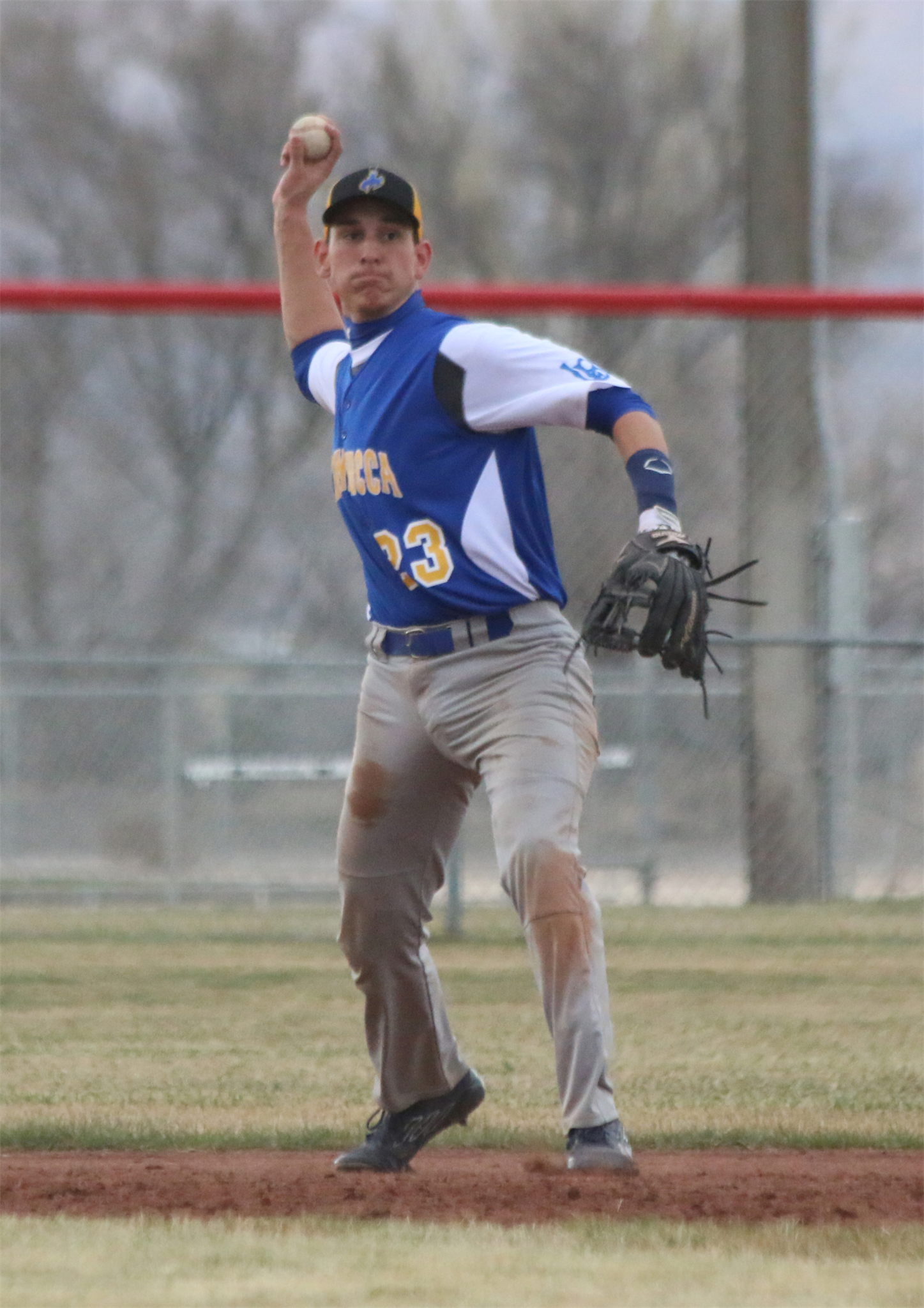 Brian Shettler