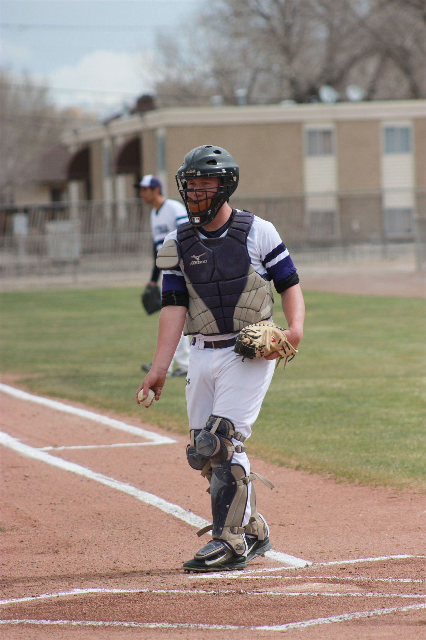 Austin Bushnell