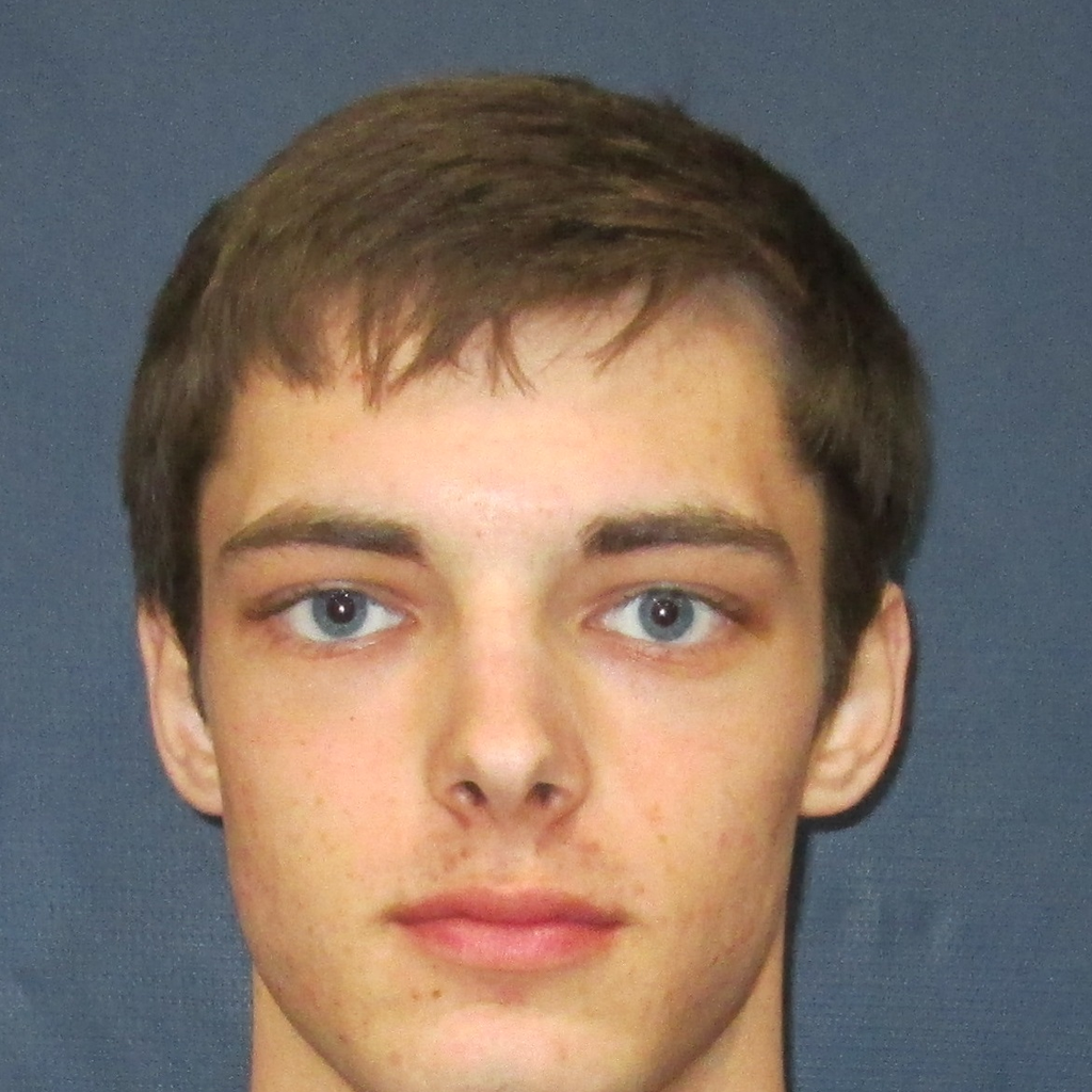 Brandon Vanderleest mugshot
