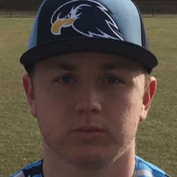 Josh Healy