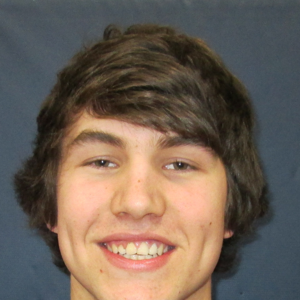 Josh Weesies mugshot