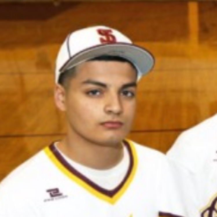 Manhal Hussain mugshot