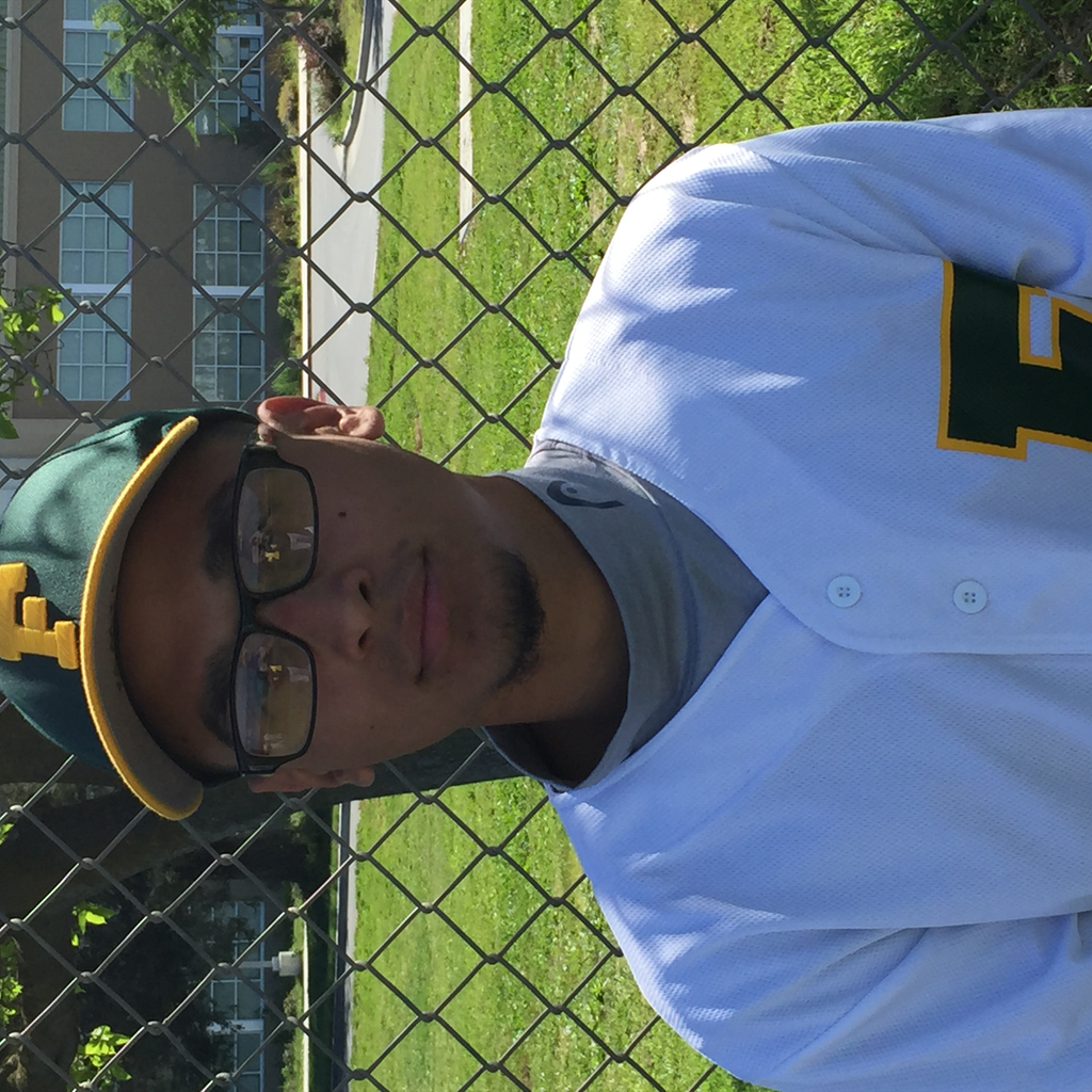 Yamil Salinas mugshot
