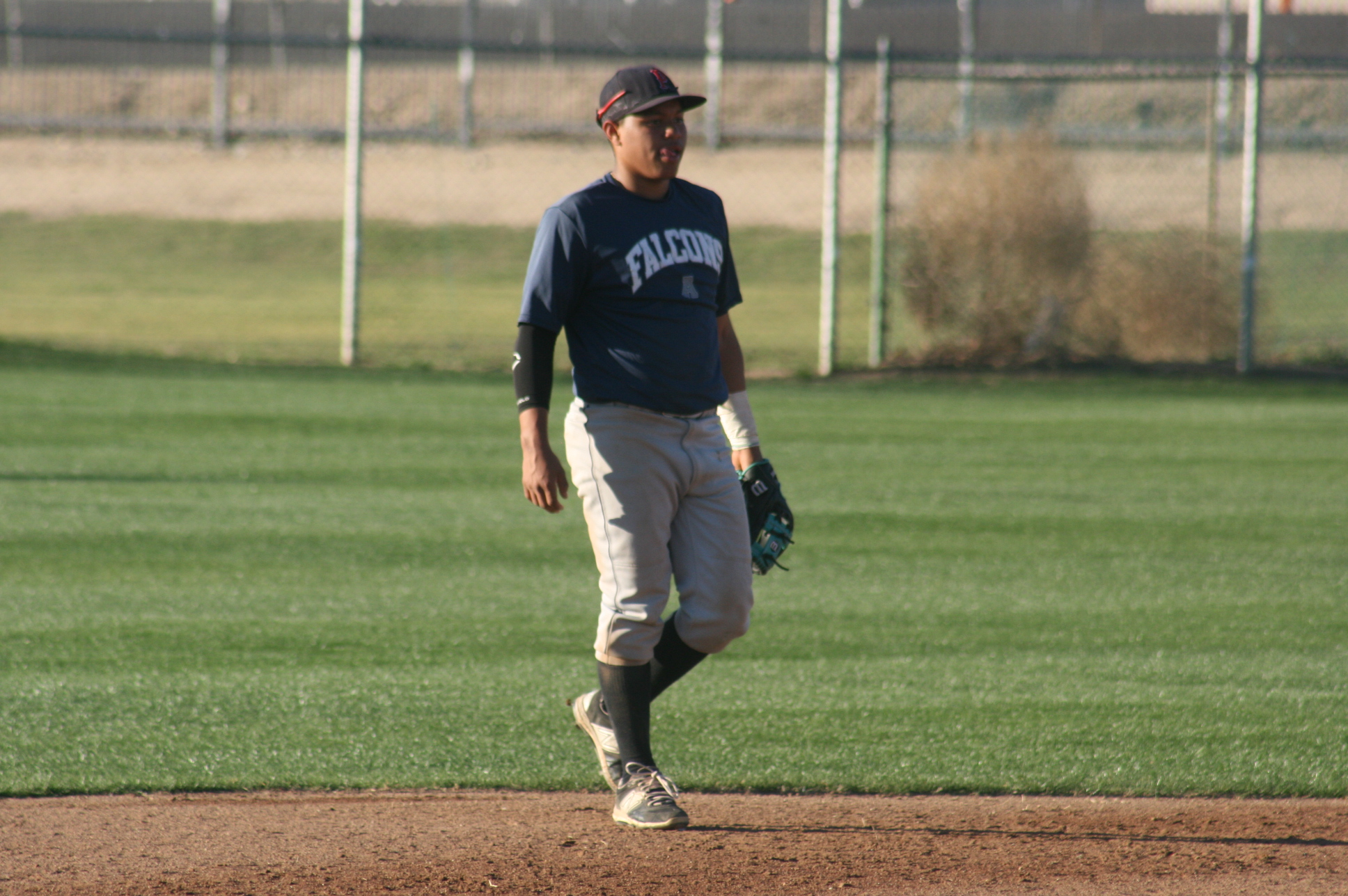D. Johnson