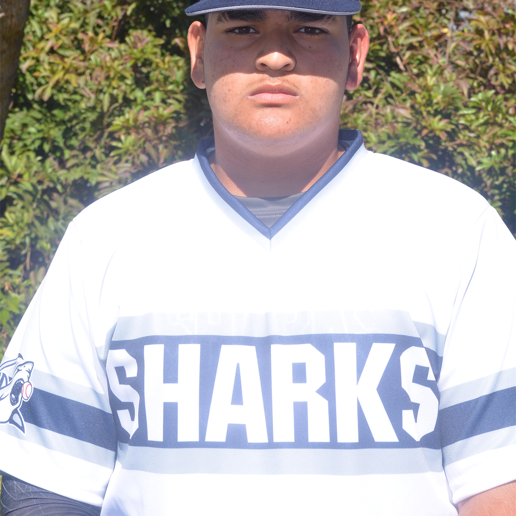 Richard Gavarrete mugshot