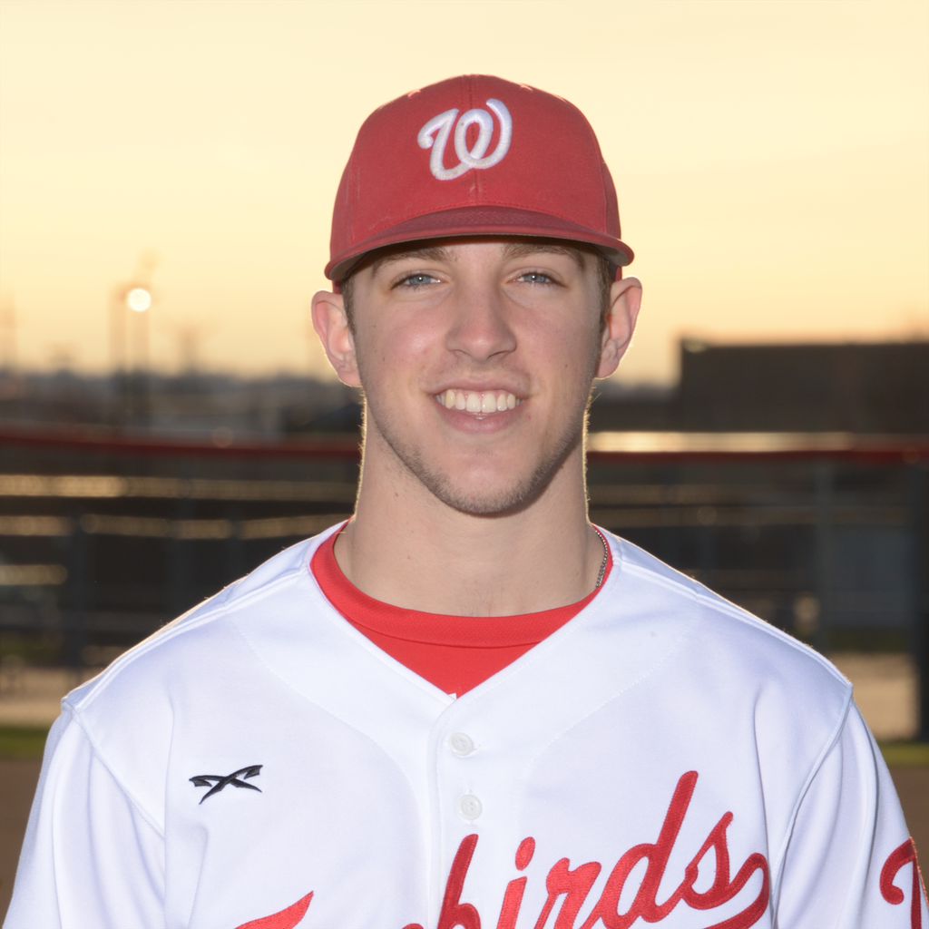 Tyler Bridges