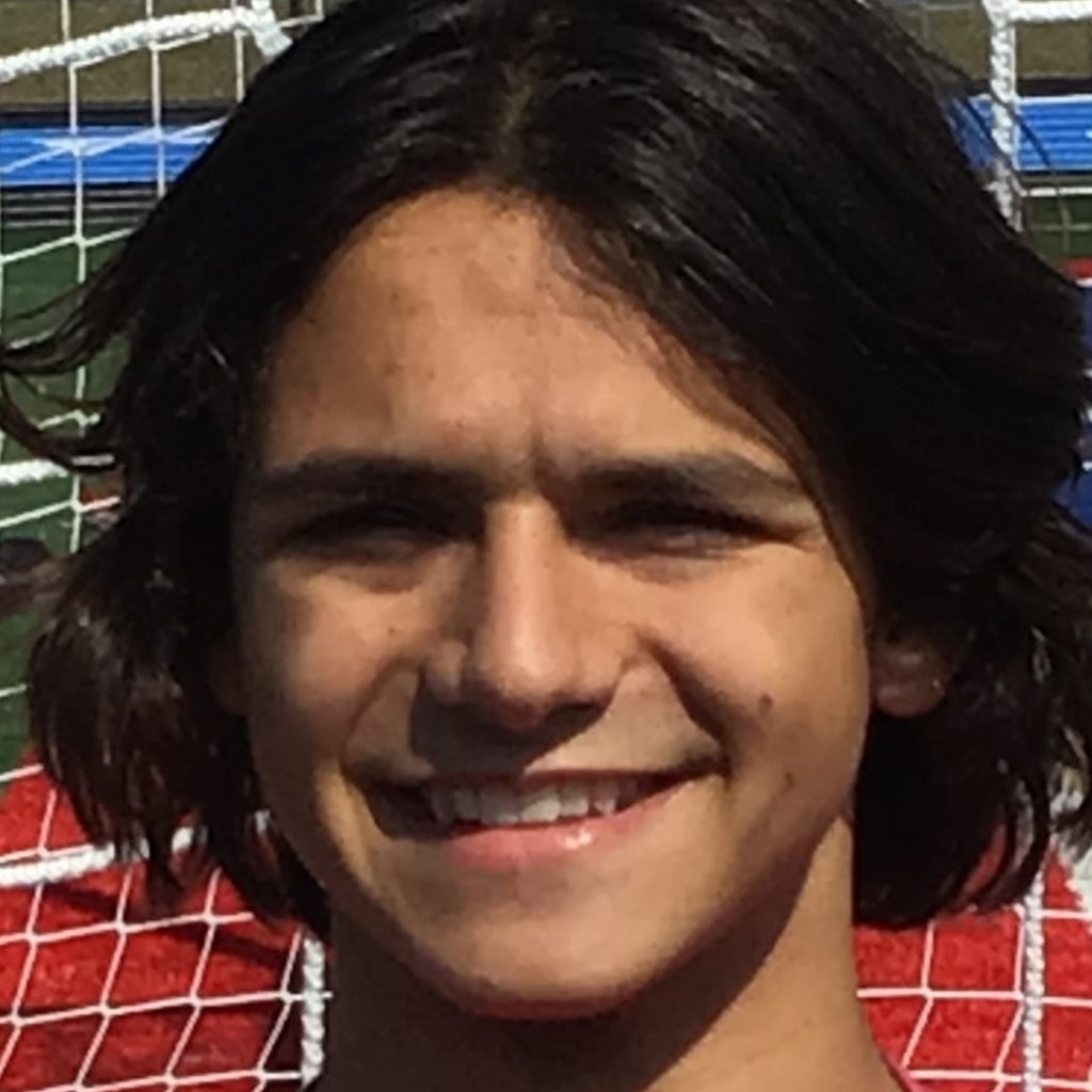 Andrew Mihailescu mugshot