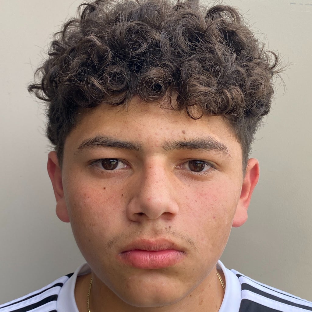 ELKIN NAJERA mugshot