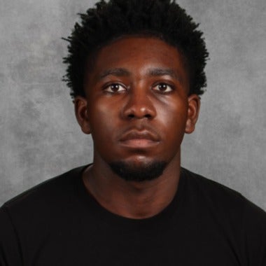 Dinum Watkins mugshot
