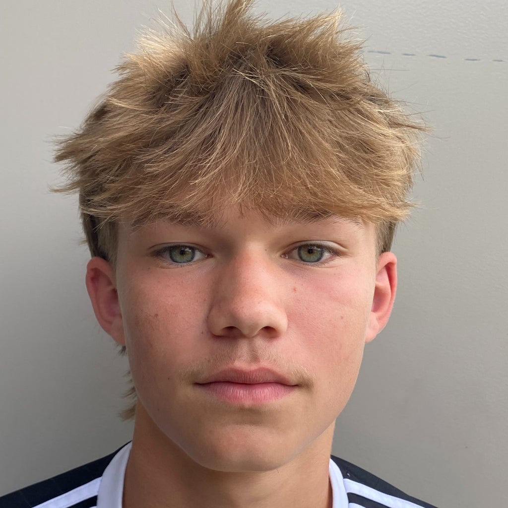 TRUETT HEALY mugshot