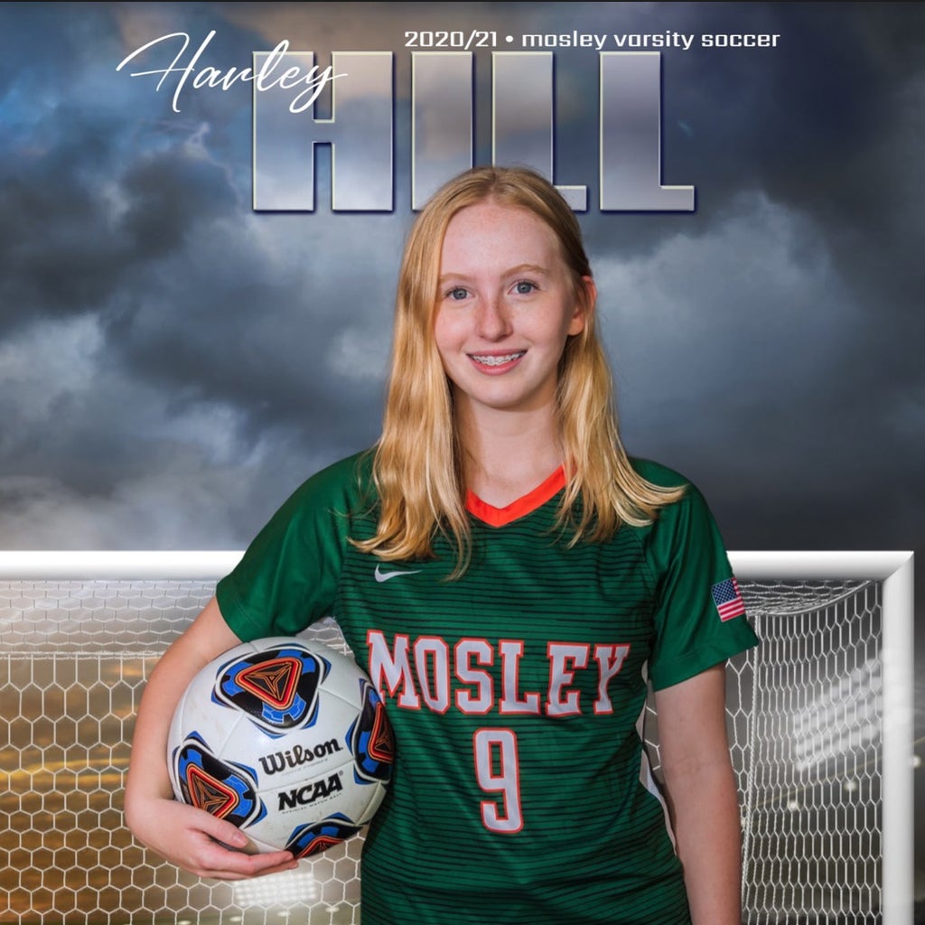 Harley Hill