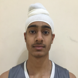 Jaiveer Baghri mugshot