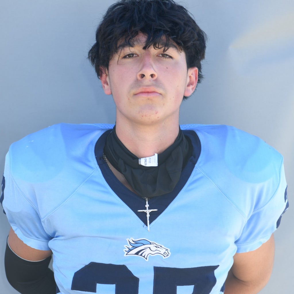 Marsello Mejia mugshot