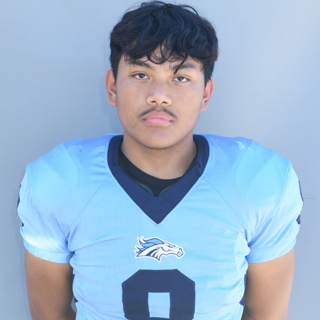 Josemaria Guevarra mugshot